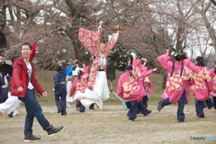 しばた　さくらまつり　よさこい3