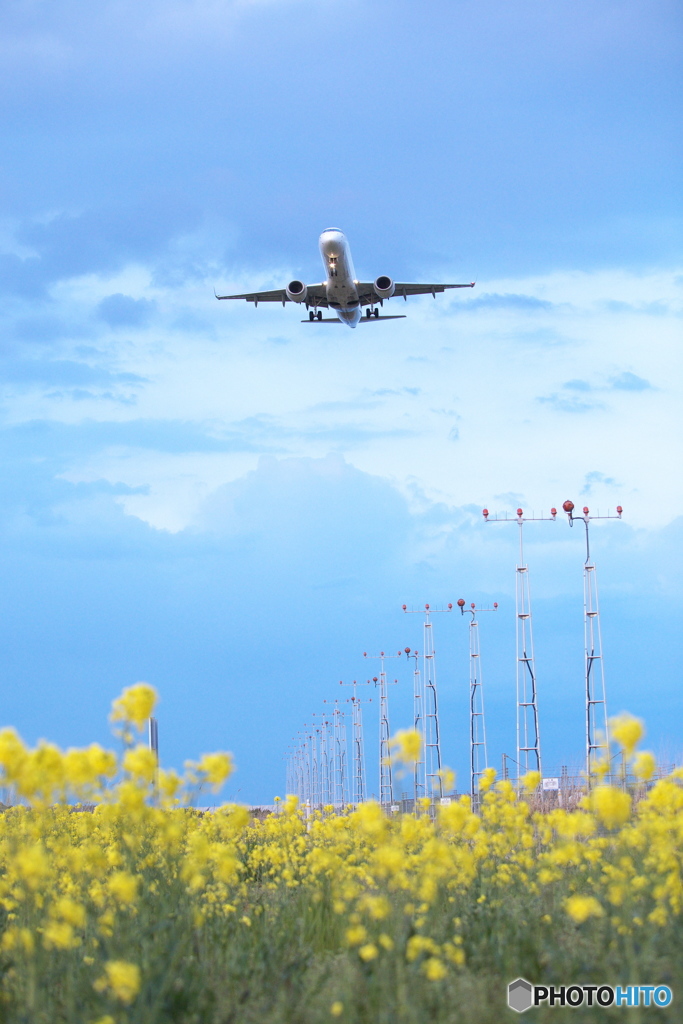 仙台空港