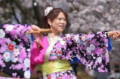 よさこい　2016　さくら祭り