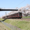 快速レトロふくしま花見山号　2016