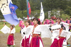 フェスティバル　IN　しばた　よさこい　2017