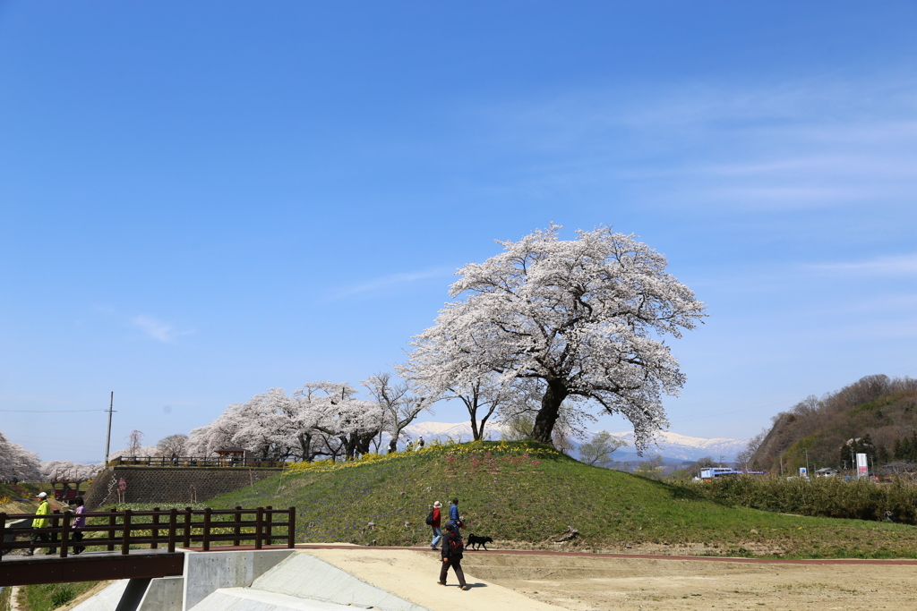 宮城県柴田町