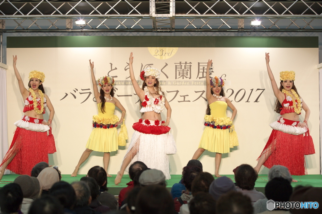 東北蘭展2017　ﾌﾗｶﾞｰﾙ