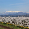 宮城県柴田町