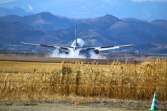 仙台空港787