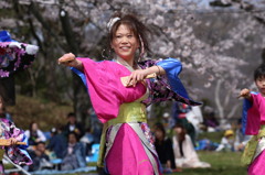 よさこい　2016　さくら祭り