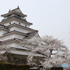 鶴ヶ城　さくら　2016