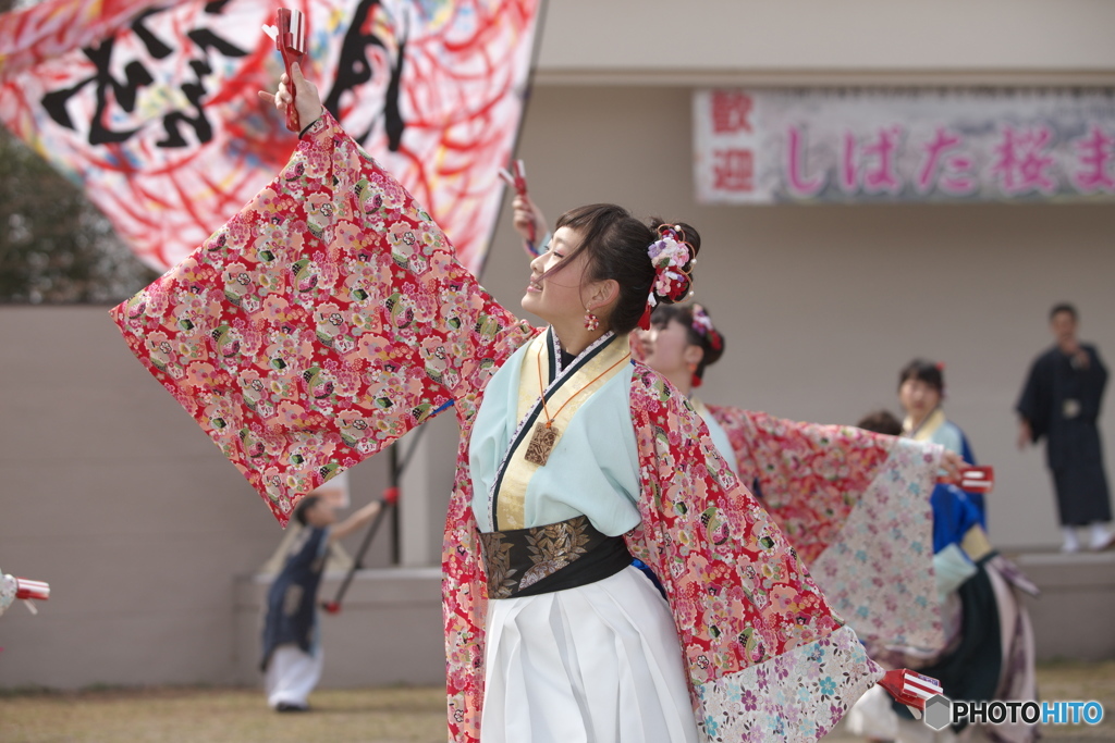 しばた　さくらまつり　よさこい5