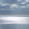 沖縄の海