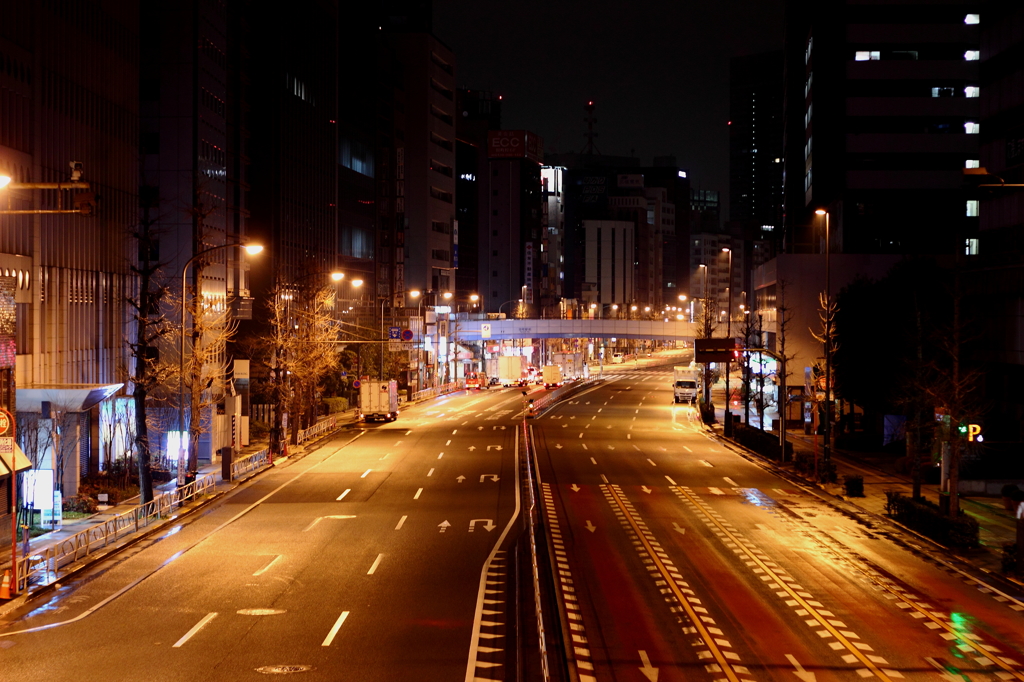 TOKYO LIGHT