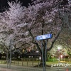 桜通り