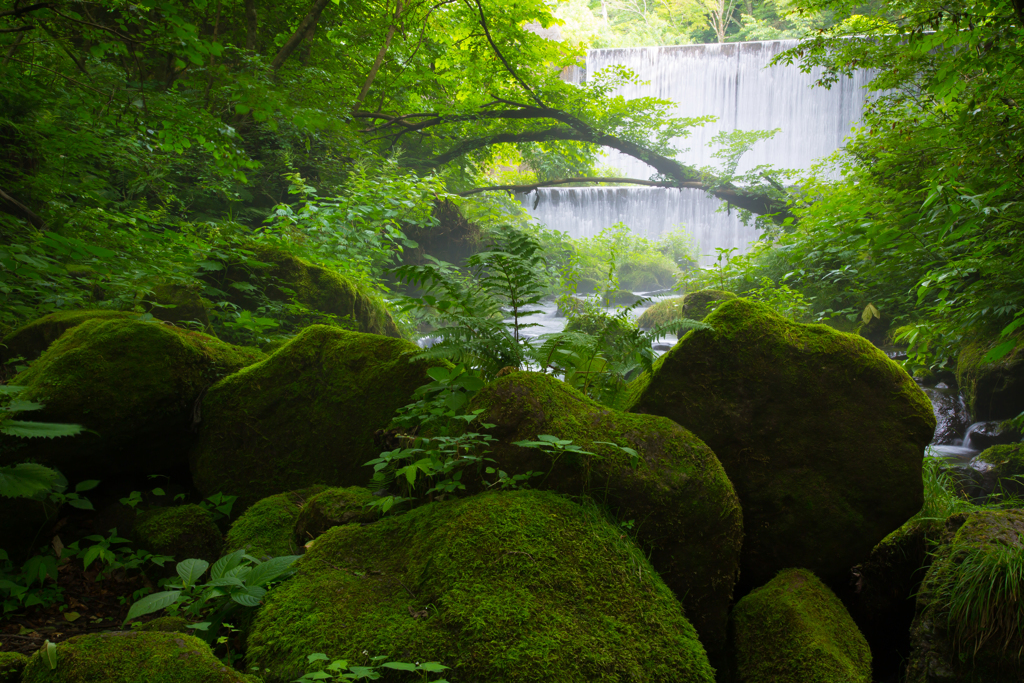 大山の自然