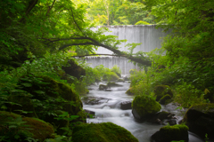 大山の自然