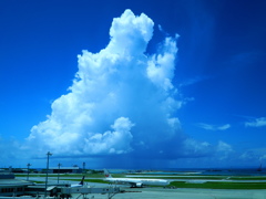 夏の雲・・・と飛行機
