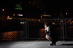 IMG_8182