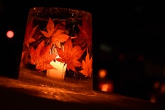 IMG_8716