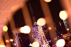 IMG_8454