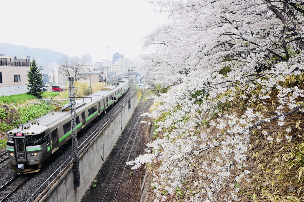 CC45DC13-F832-4B33-91C5-C34E888D2DA8