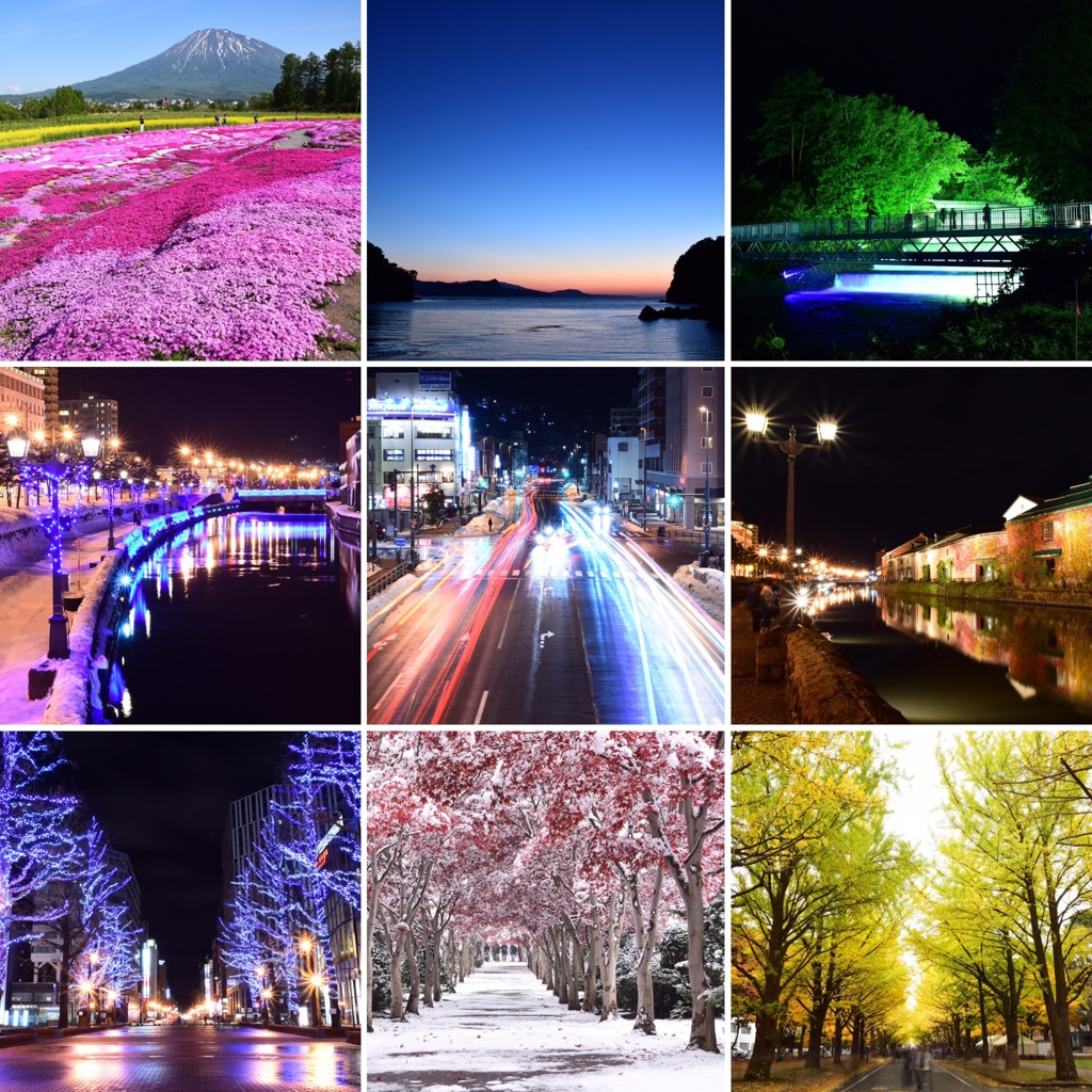 2016 Best Nine