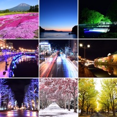 2016 Best Nine
