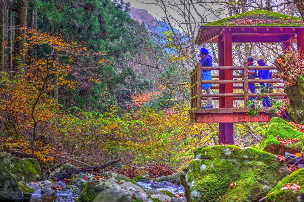 今年最後の紅葉狩り。