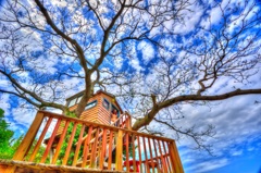 Tree House