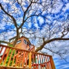 Tree House
