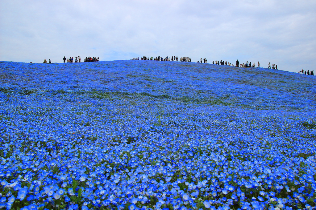 epic blue