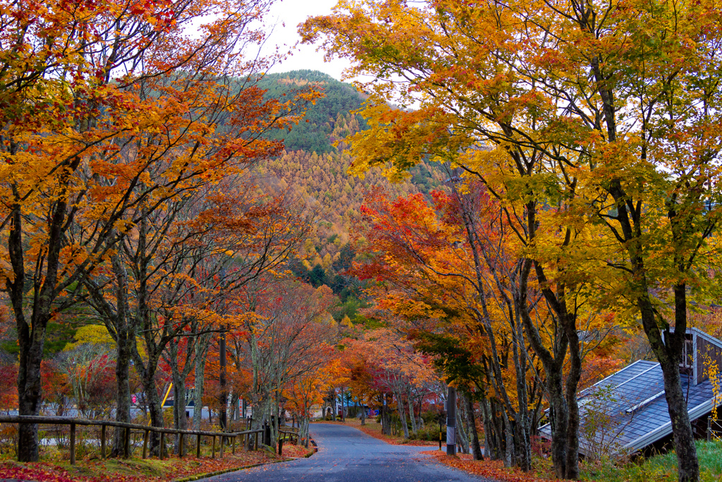 治部坂峠