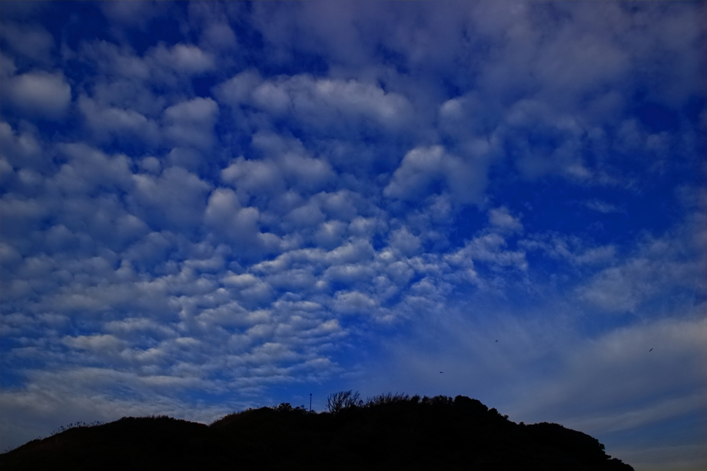 Autumn Sky
