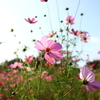 輝く君…#2