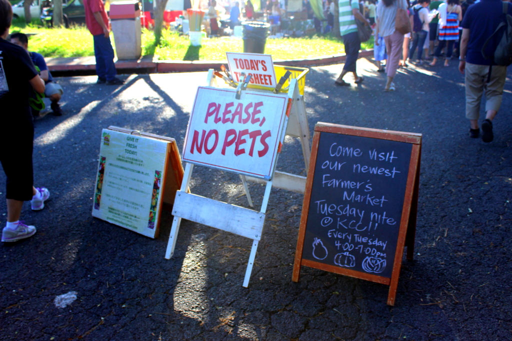 Please,No Pets