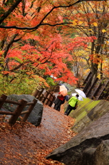この先、細道。