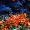 昇仙峡の秋