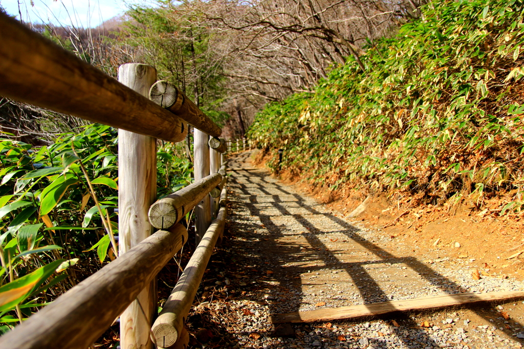 冬支度の道