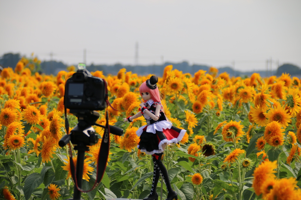 綺麗に撮ってね♡