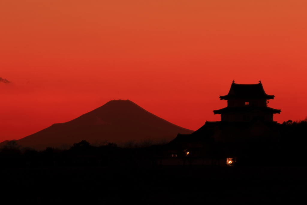 富士山を望む