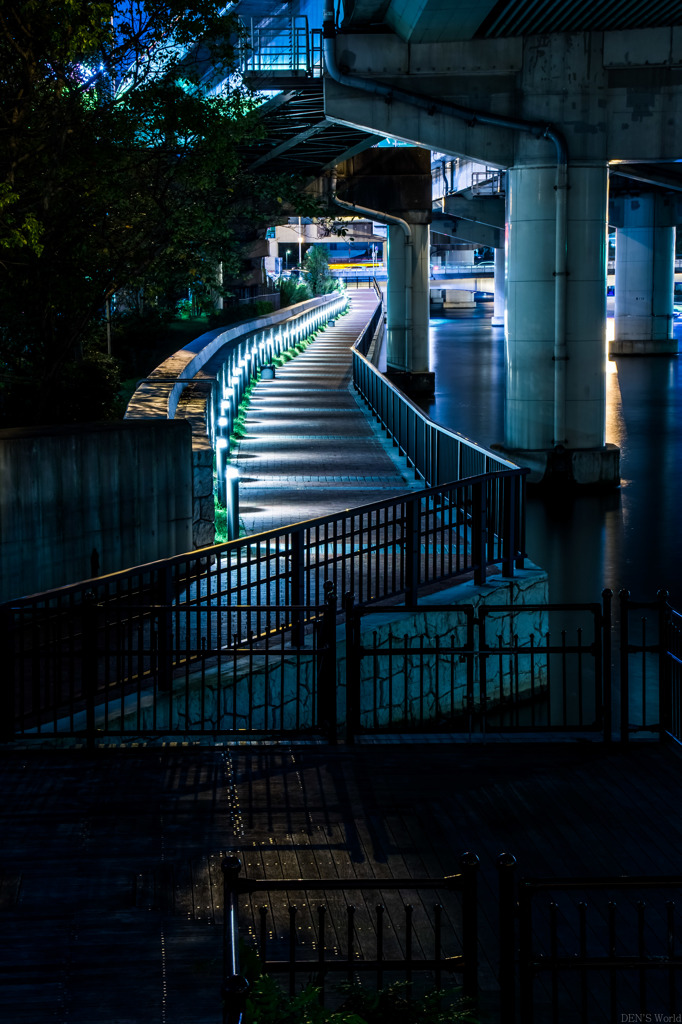 大川沿いの小路