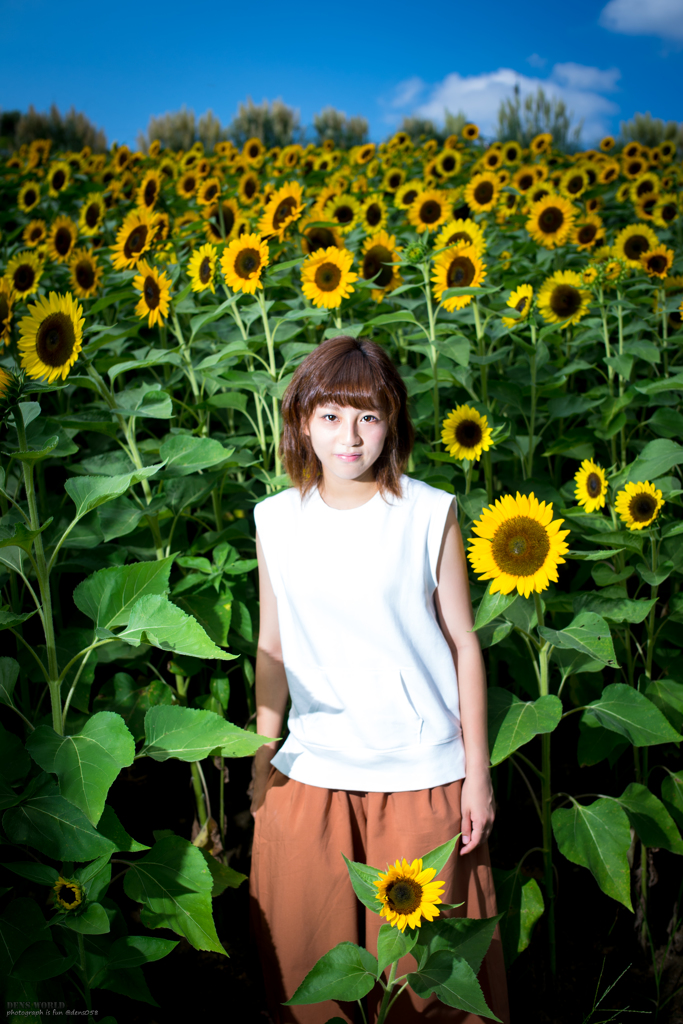 ひまポ　My image