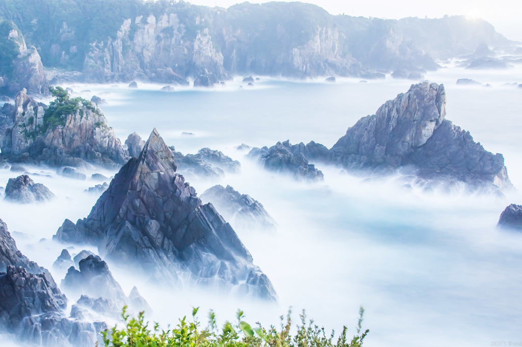 潮風と海金剛