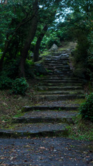 鷲羽山の小路