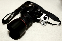 今までありがとう50D