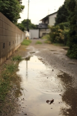 雨上がりの通学路