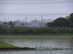 雨で霞む町