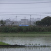 雨で霞む町