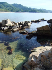 海