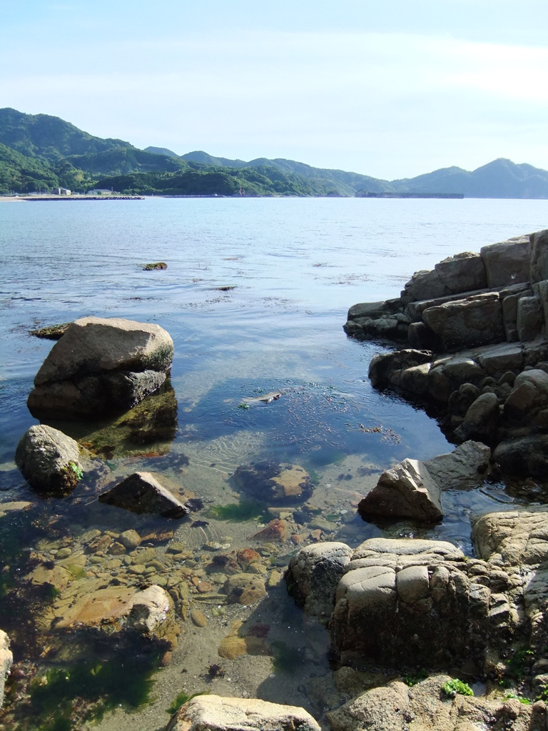 海