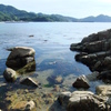 海