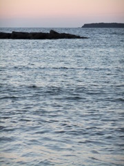海