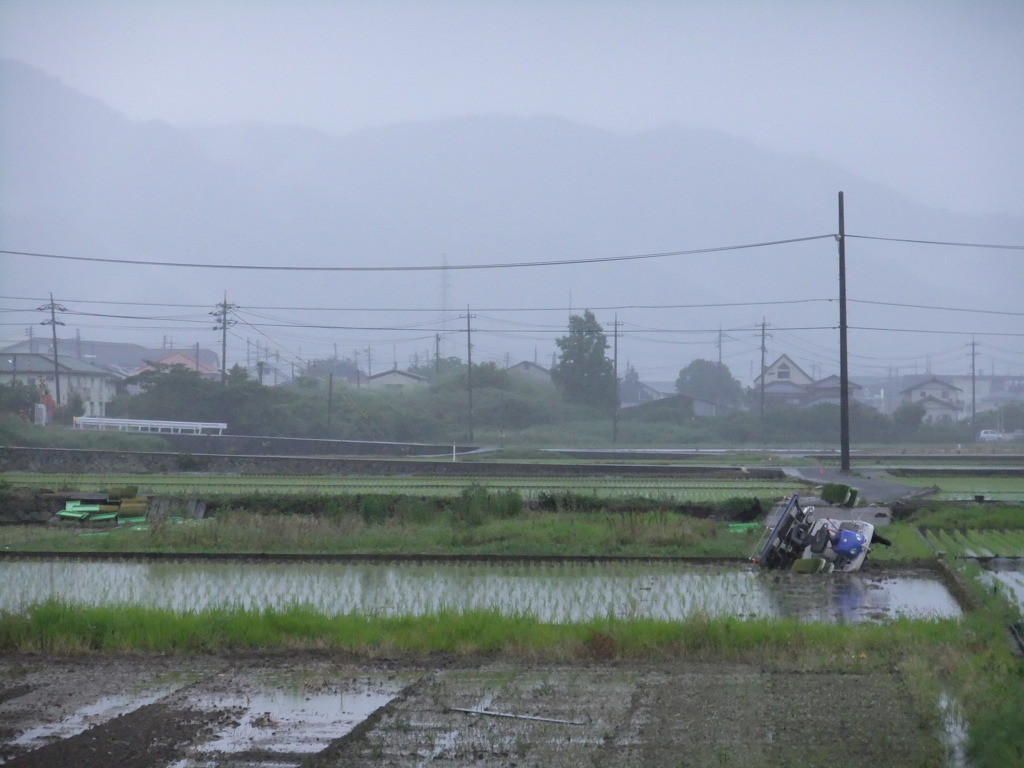 田んぼと田植え機